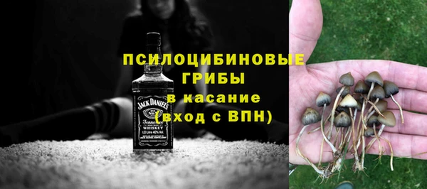 шишки Армянск