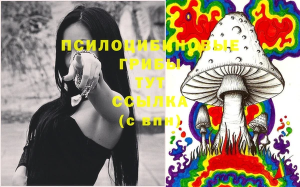 шишки Армянск