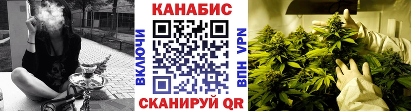 Шишки марихуана сатива Грайворон